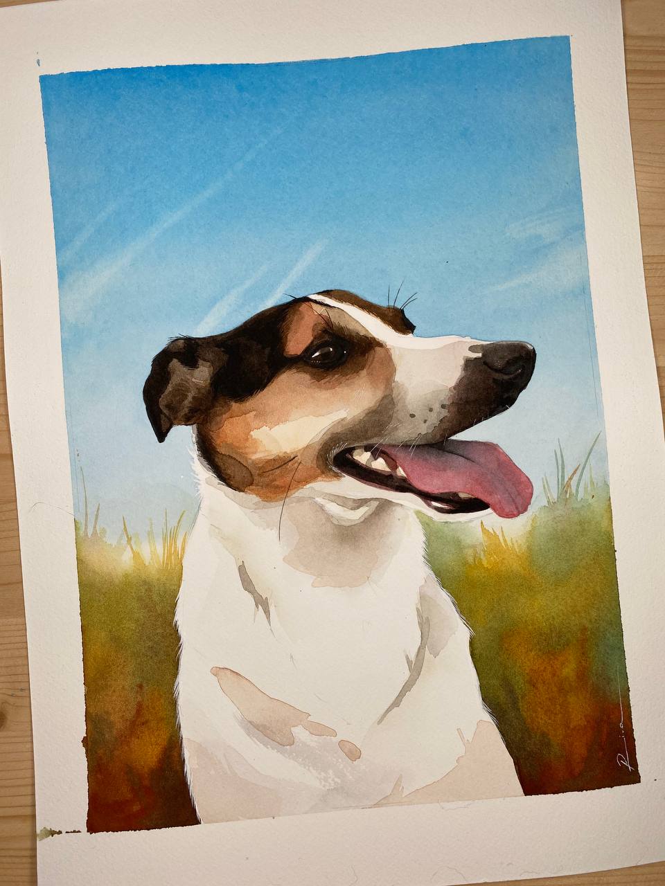 Acquerello animale su commissione