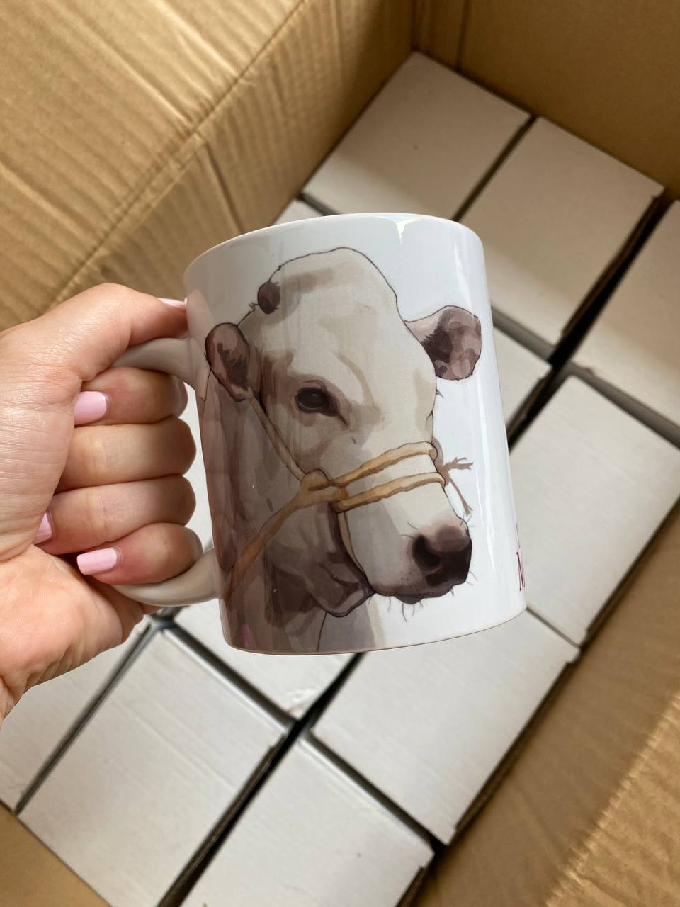 Tazza bue piemontese