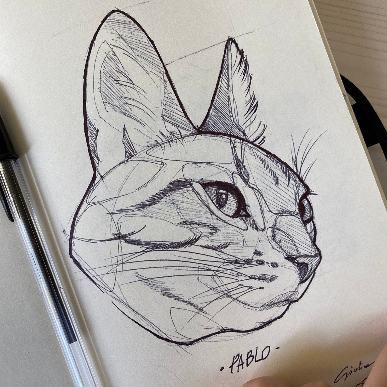 Sketch piccolo animale