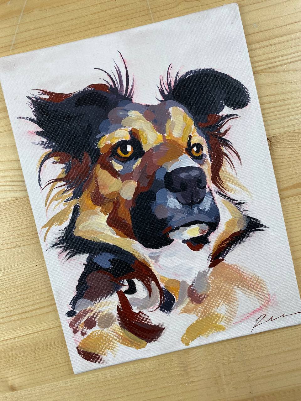 Animale ad acrilico su commissione