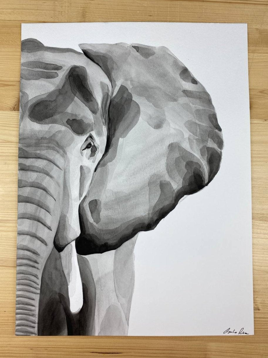 Elefante