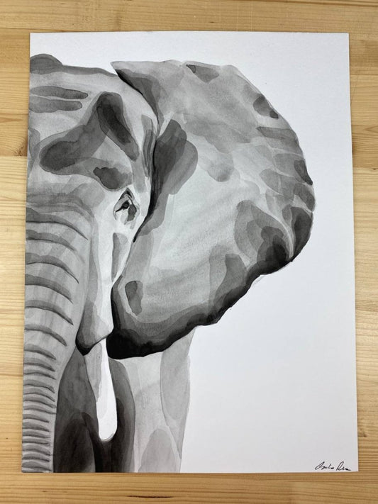Elefante