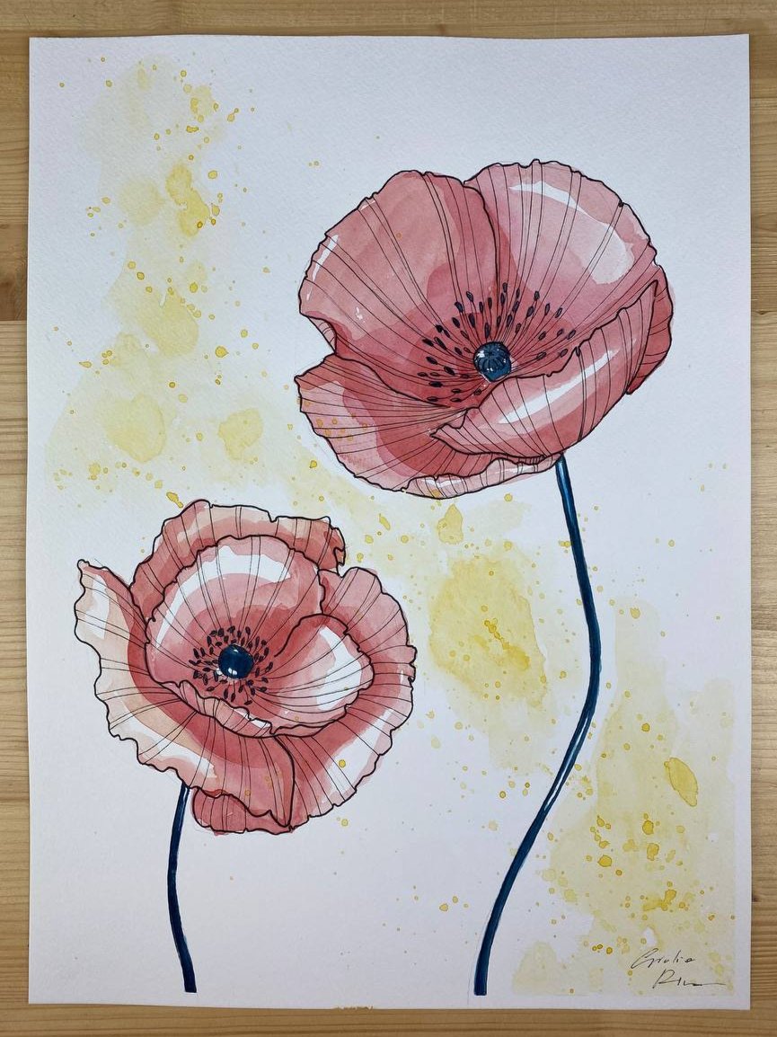 Papaveri rosa