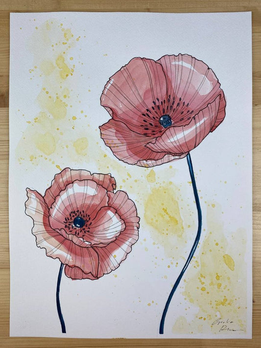 Papaveri rosa