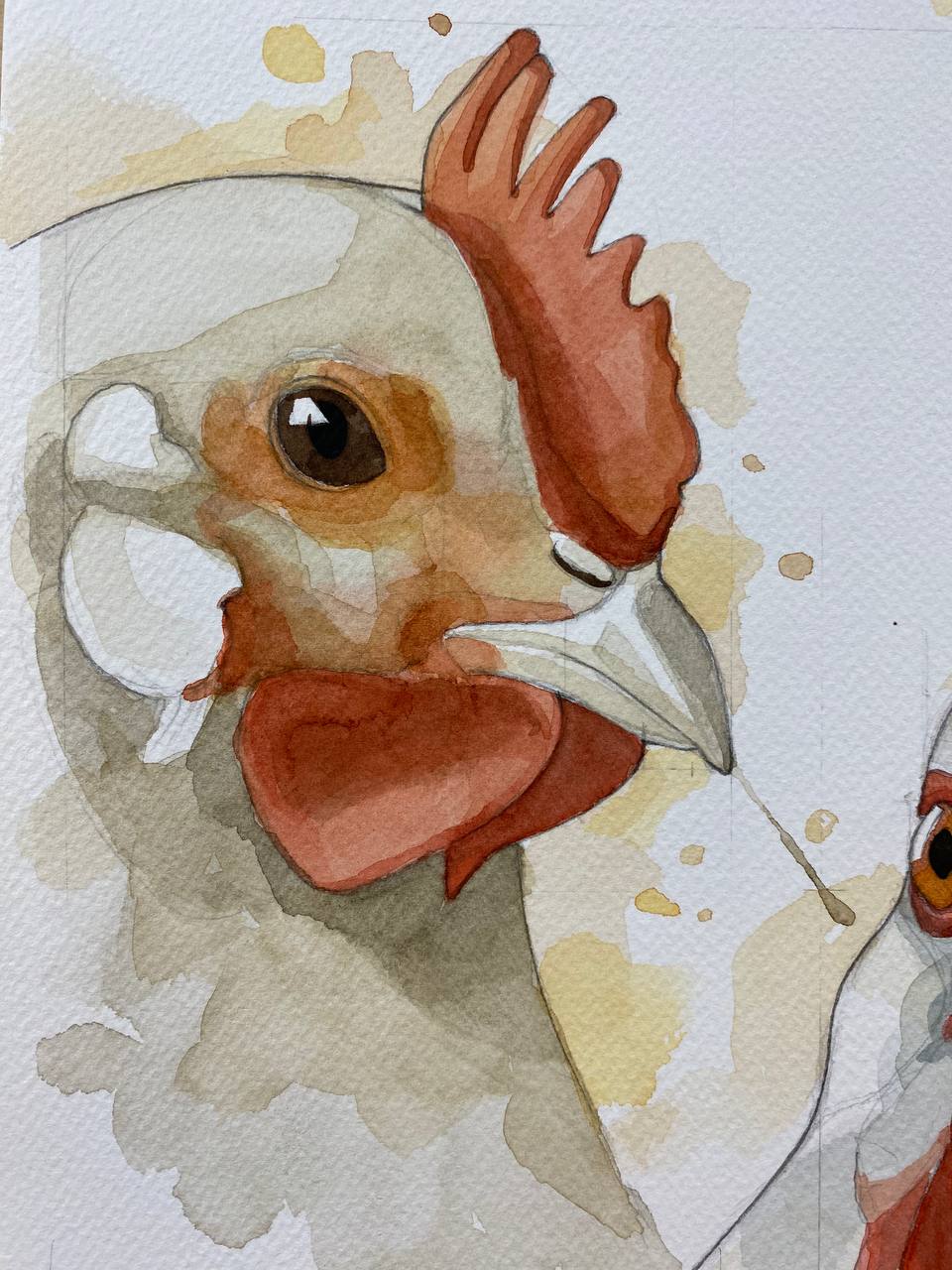 Galline gang, acquerello originale.
