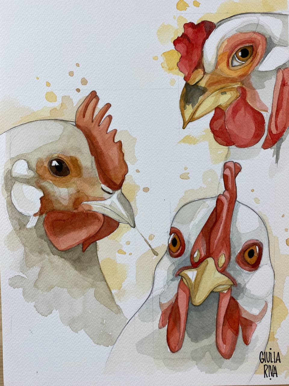 Galline gang, acquerello originale.