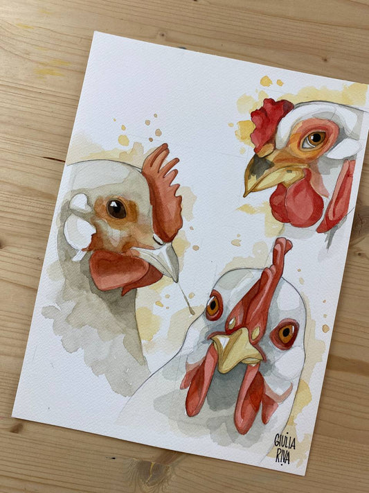 Galline gang, acquerello originale.