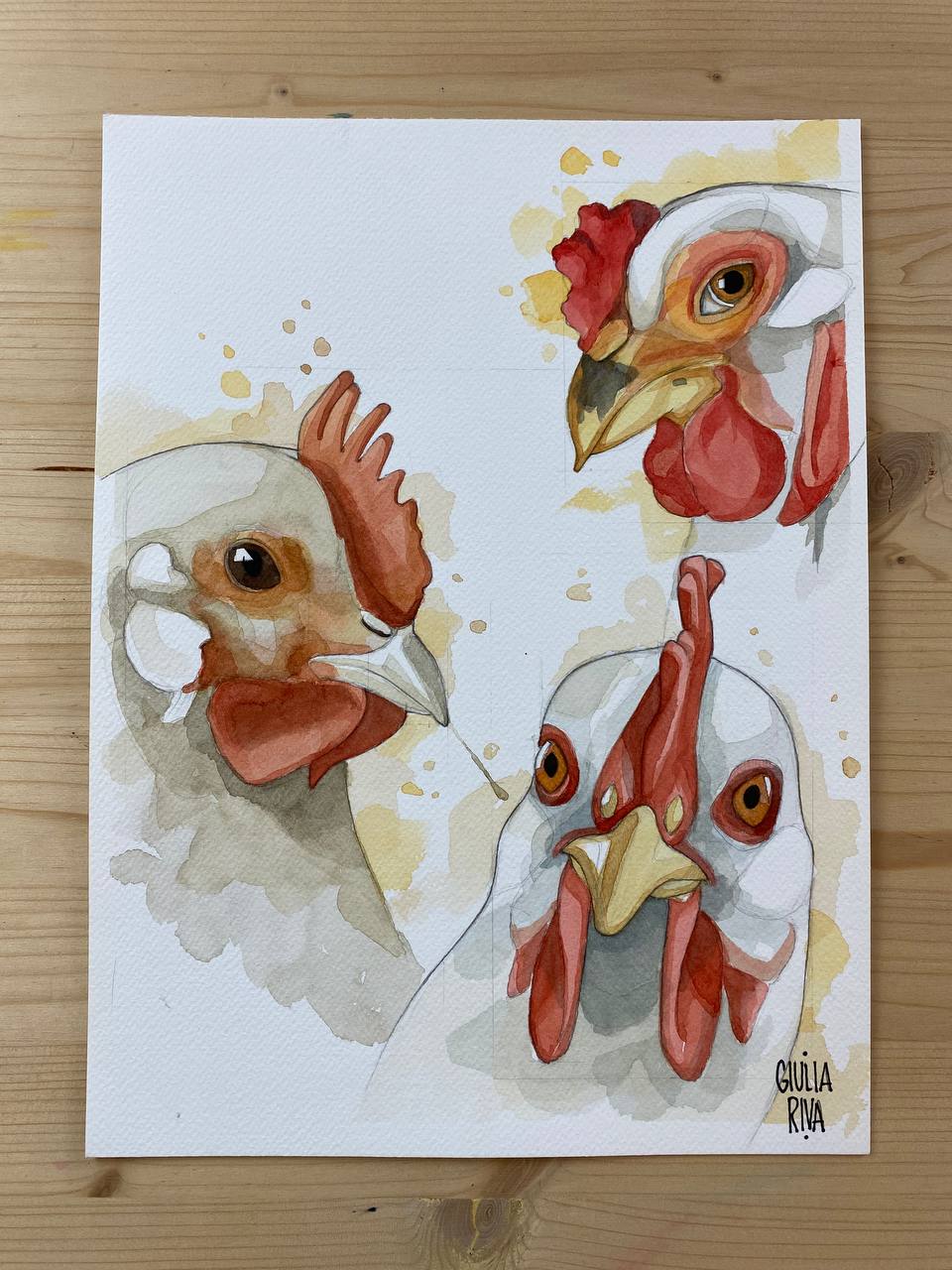 Galline gang, acquerello originale.