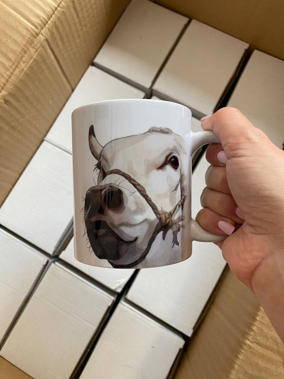 Tazza bue piemontese