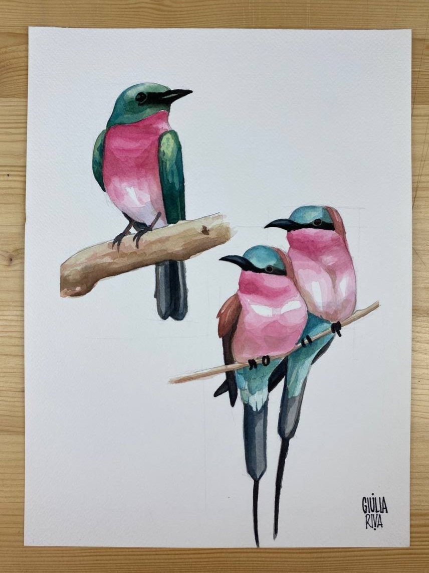 Uccellini
