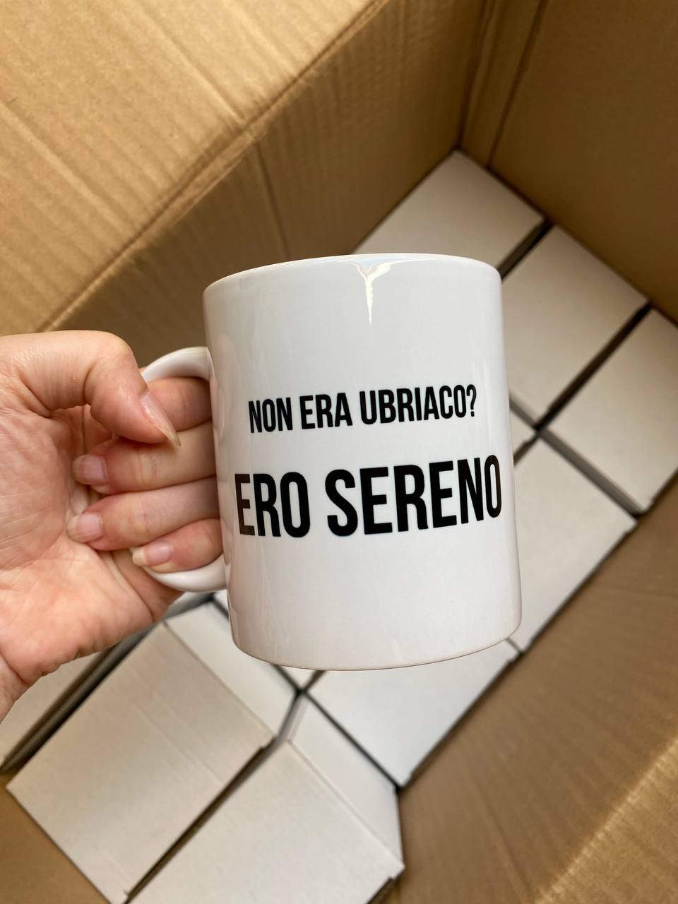 tazza meme bigioggero ero sereno scaloppinee