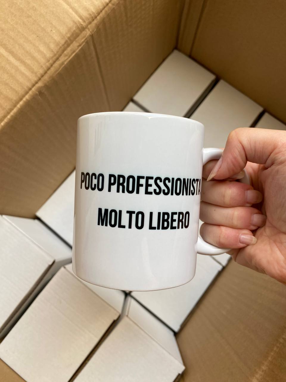 tazza meme bigioggero poco professionista molto libero scaloppinee