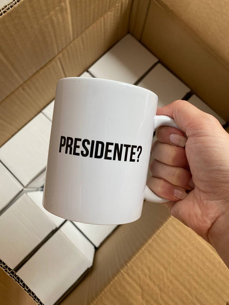 tazza presidente meme scaloppinee